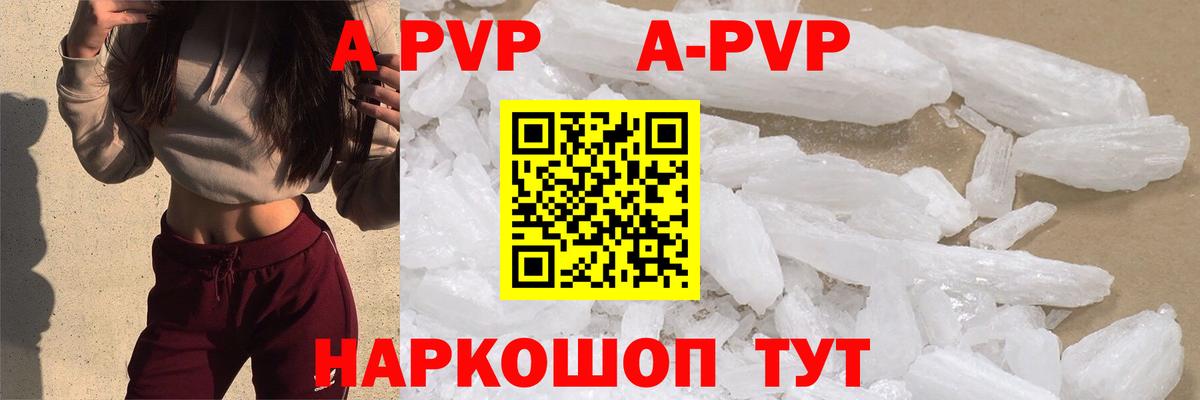 Alfa_PVP СК Брянск