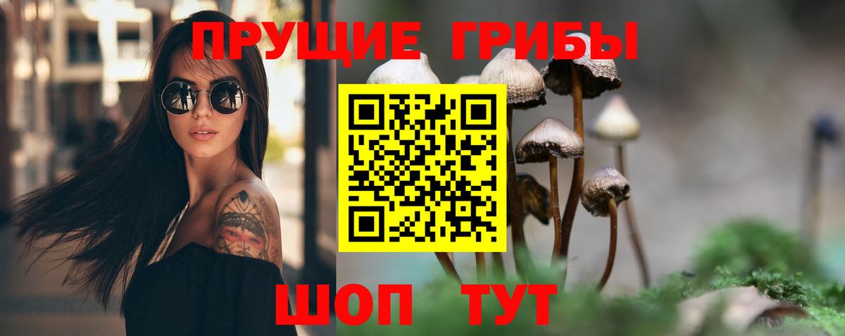 Брянск  Псилоцибиновые грибы Magic Shrooms  наркошоп  Вход с VPN 